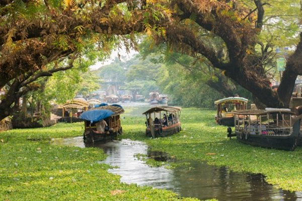 Alleppey to Cochin