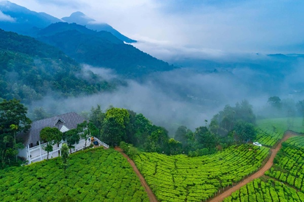 Cochin to Munnar