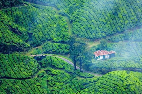 Munnar Sightseeing Tour