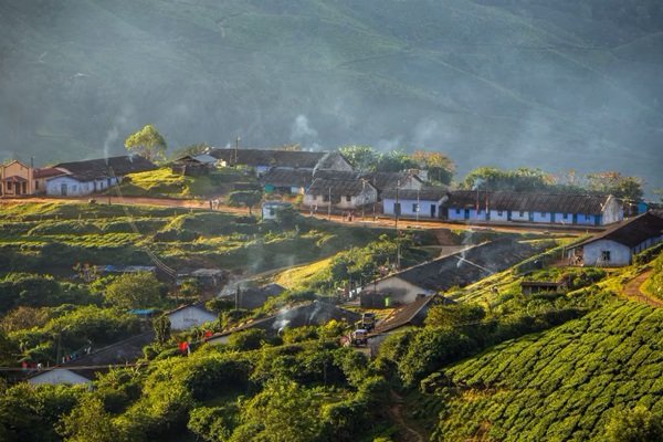 Munnar to Thekkady