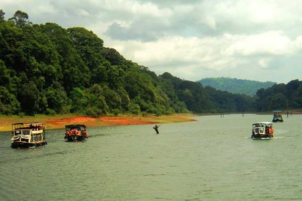 Munnar to Thekkady