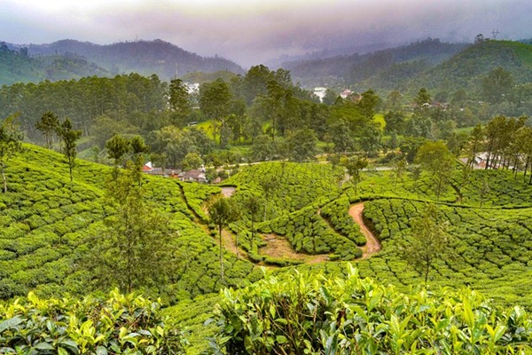 Periyar