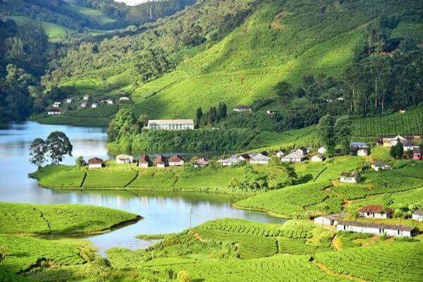 Spice Hills & Wildlife