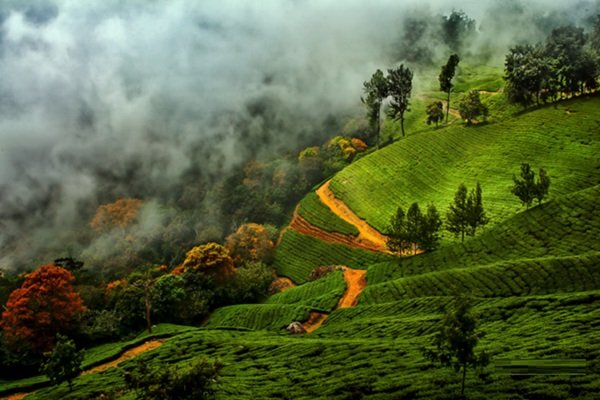 Thekkady Alleppey