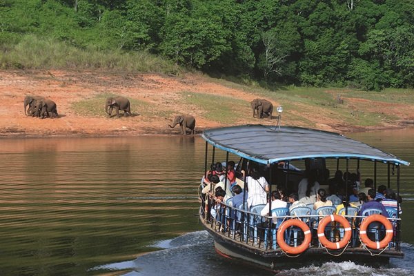 Transfer to Thekkady – Lake Safari & Martial Arts Show