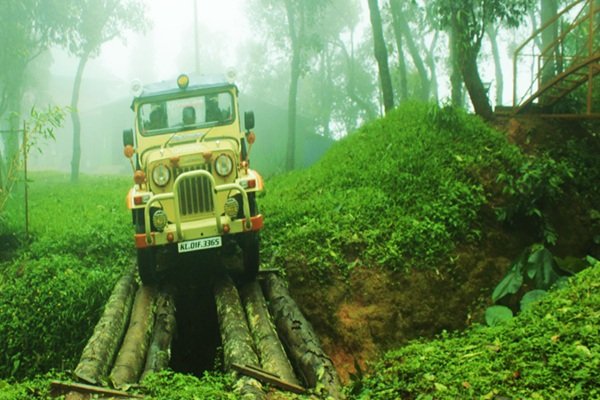 Trekking & Kolukkumalai Jeep Safari