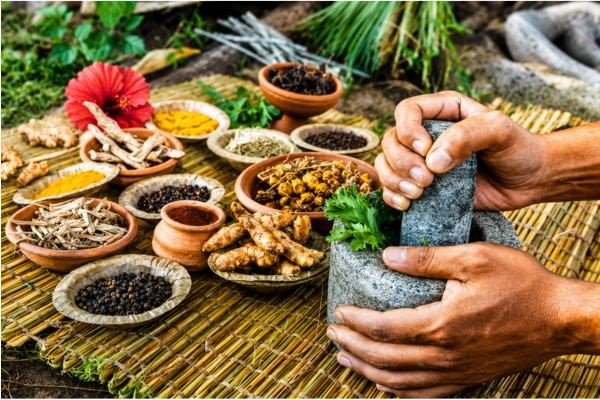 ayurveda retreat kerala