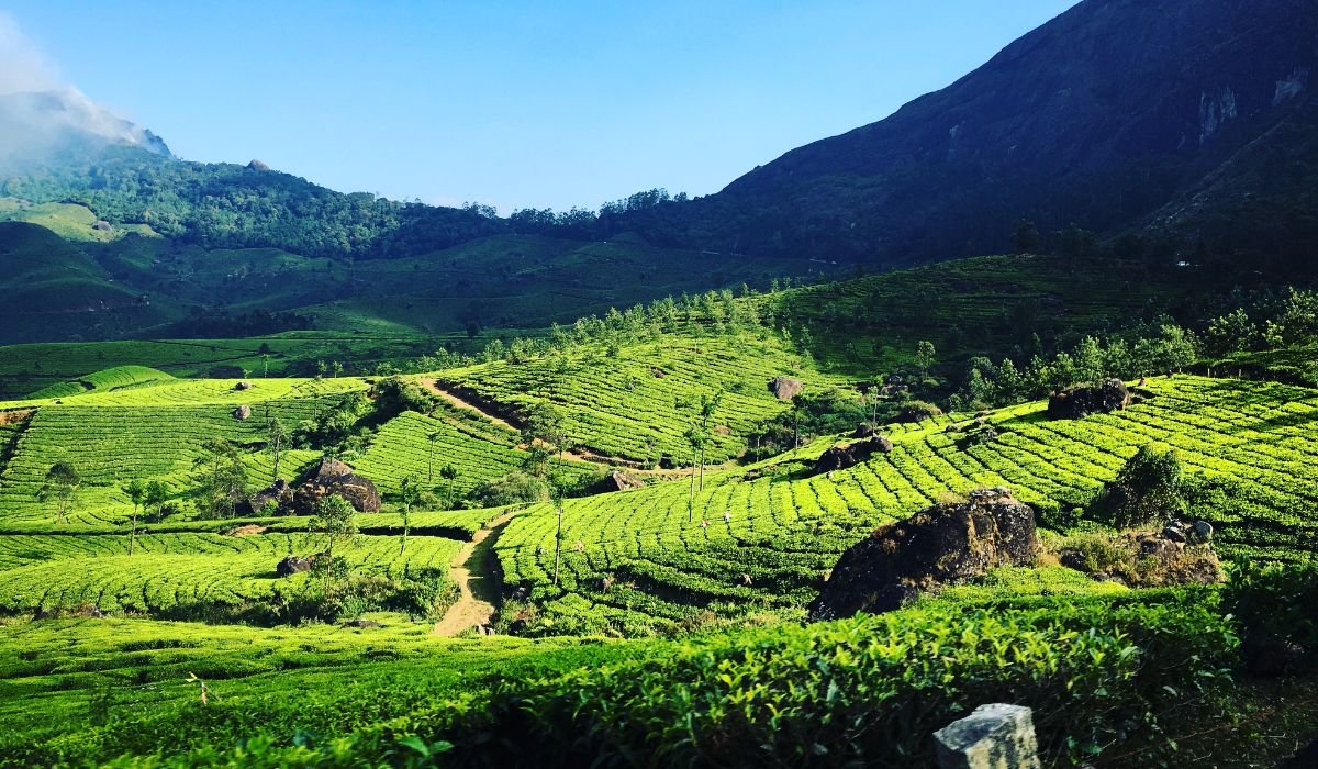 South India travel destinations including Kerala Tamil Nadu and Karnataka