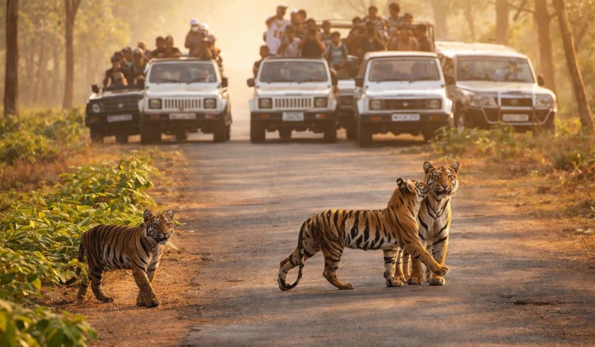 Luxury Wildlife Safaris in South India: The Ultimate Guide to India’s Finest Jungle Experiences
