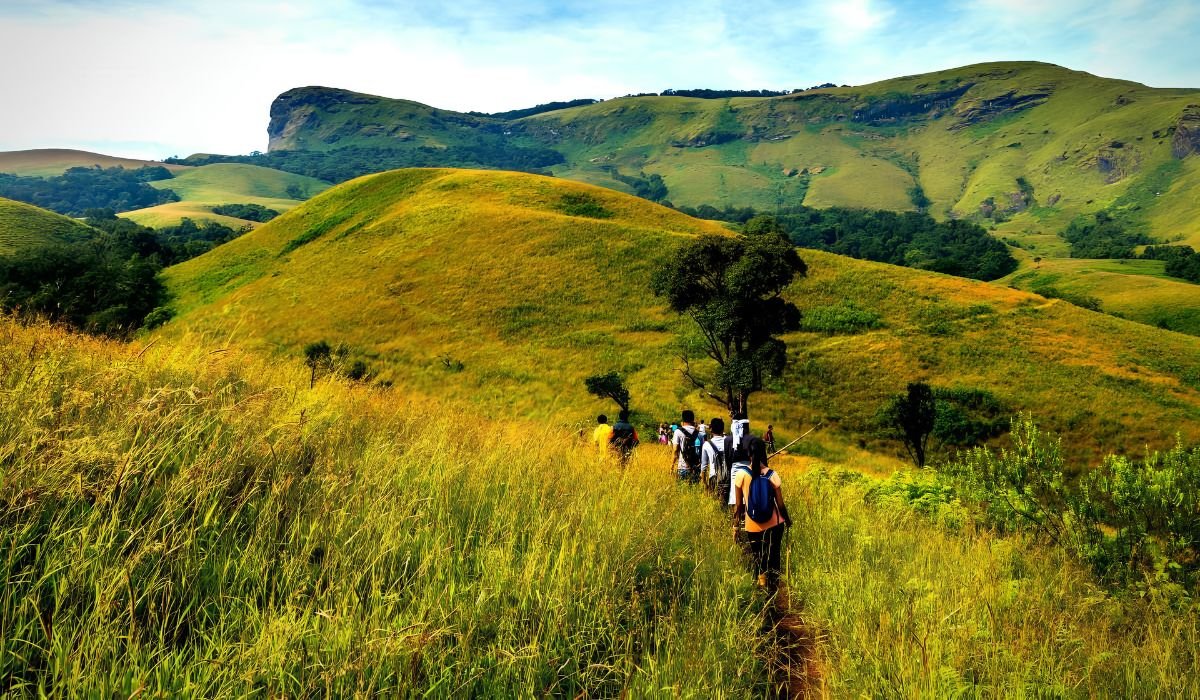 Luxury Wildlife Safaris in South India: The Ultimate Guide to India’s Finest Jungle Experiences