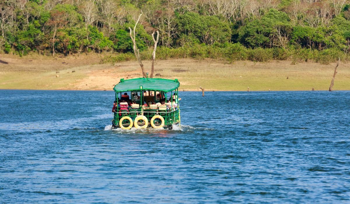 Luxury Wildlife Safaris in South India: The Ultimate Guide to India’s Finest Jungle Experiences