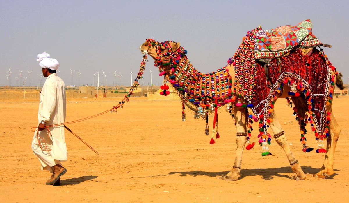 Camel safari across the Thar Desert in Rajasthan